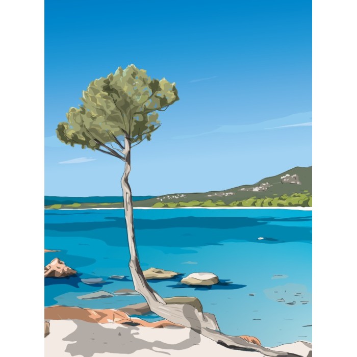 Illustration de la plage de Palombaggia, Porto-Vecchio, Corse du sud - Copyright Gwendal Hasson