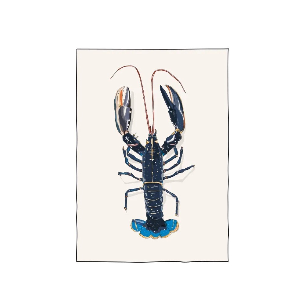 Illustration d'un homard bleu de Bretagne
