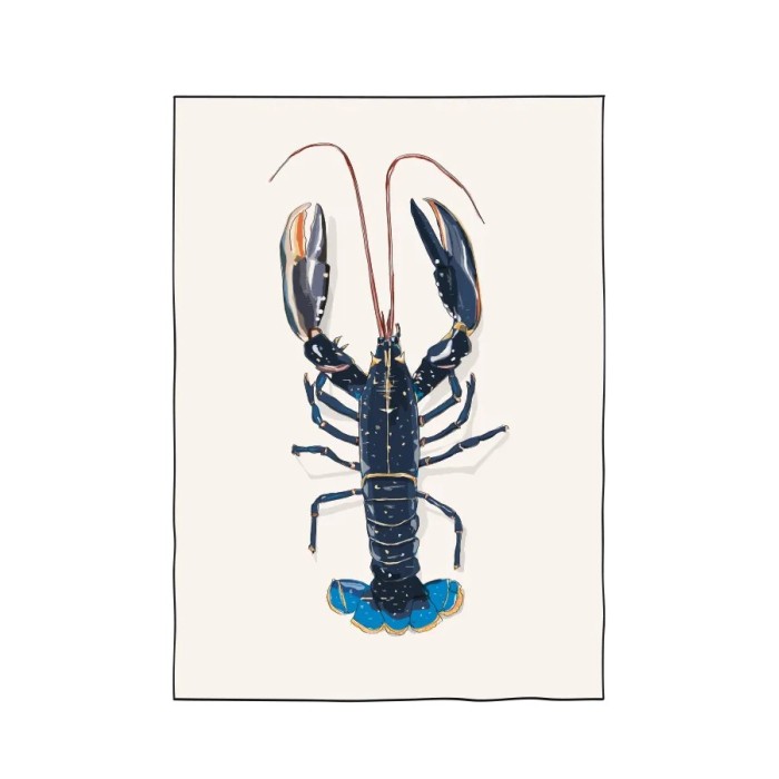 Illustration d'un homard bleu de Bretagne