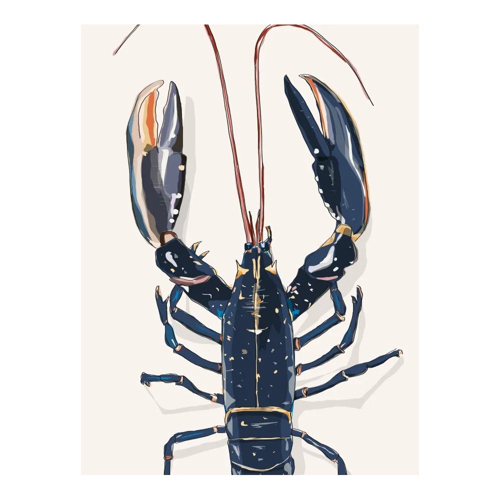 Zoom sur Illustration d'un homard bleu de Bretagne