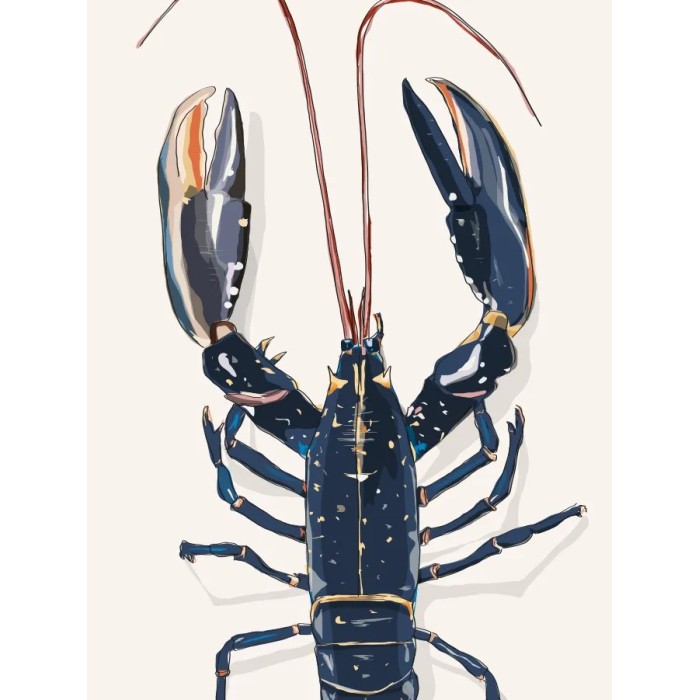 Zoom sur Illustration d'un homard bleu de Bretagne
