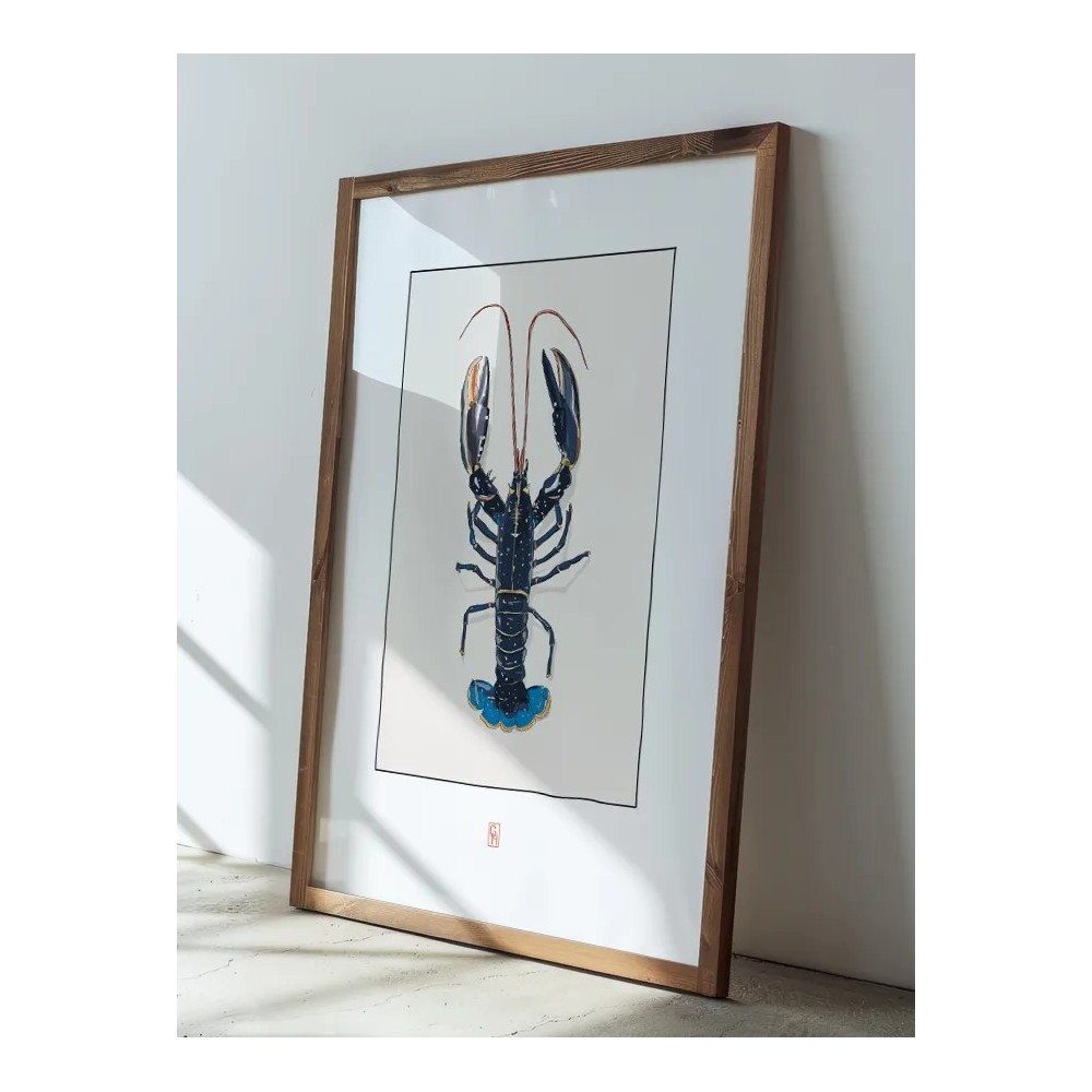 Encadrement Illustration d'un homard bleu de Bretagne