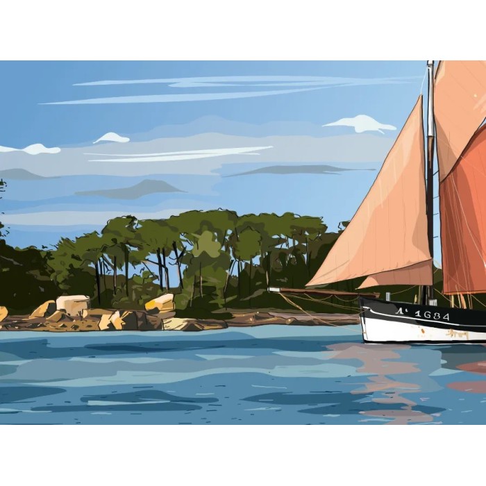 zoom sur le Corbeau des Mers