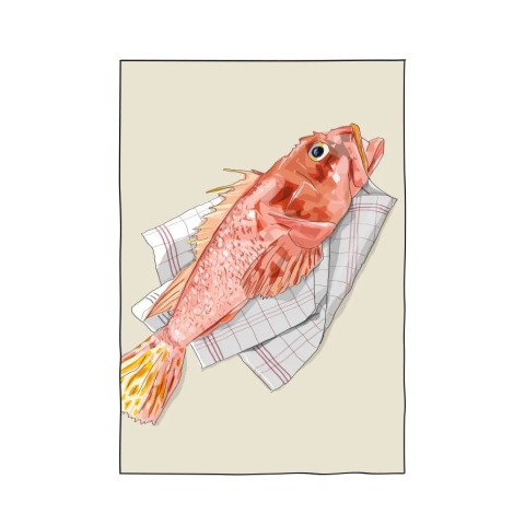 Illustration rascasse de Marseille 2