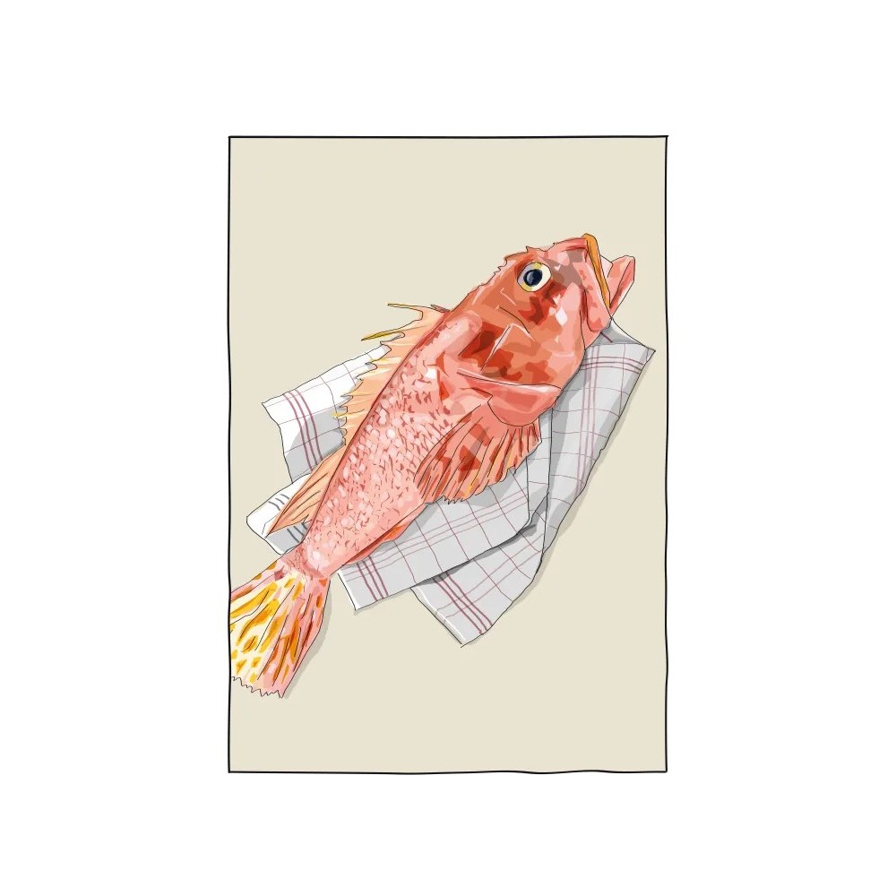 Dessin de rascasse marseillaise