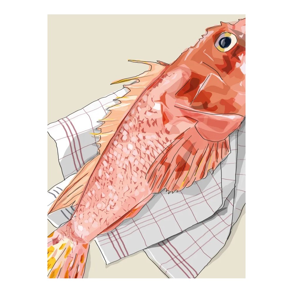 Rascasse de Méditerranée