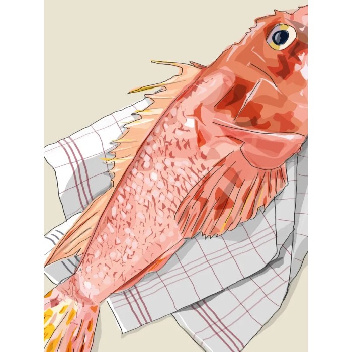 Rascasse de Méditerranée