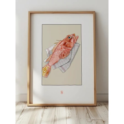 Illustration rascasse de Marseille